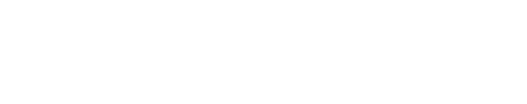 David Transport & Logistik